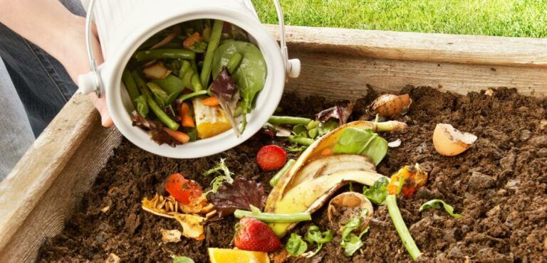 compostaggio domestico